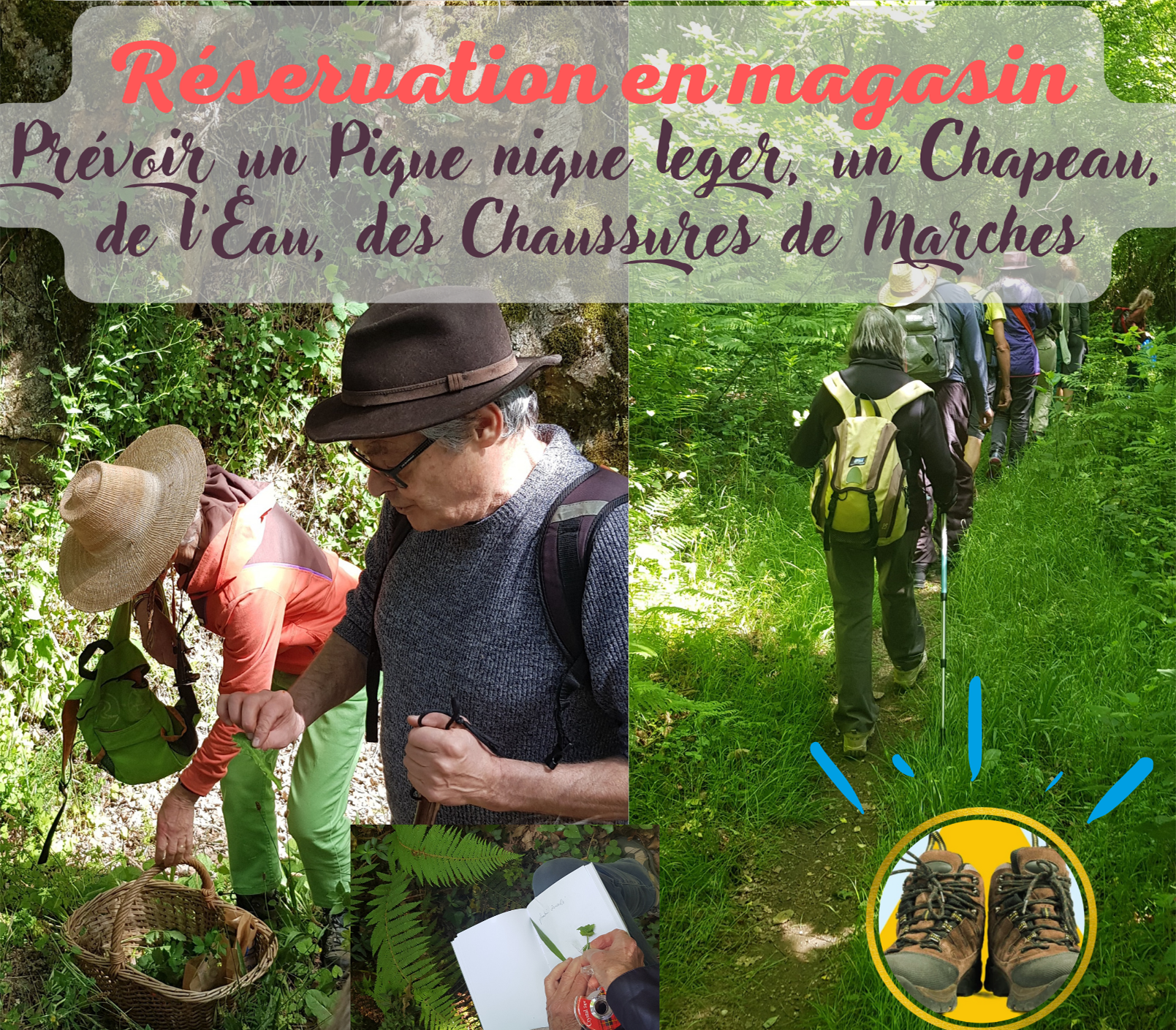 4e randonnée découverte Plantes sauvages comestibles 4e randonnée découverte Plantes sauvages comestibles
