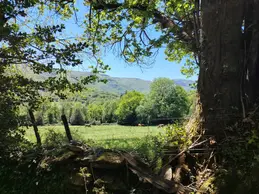33-biocoop-castres-rando-albine-7.webp