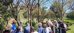 33-biocoop-castres-randonnee-plantes-sauvages-lardicou-16.webp