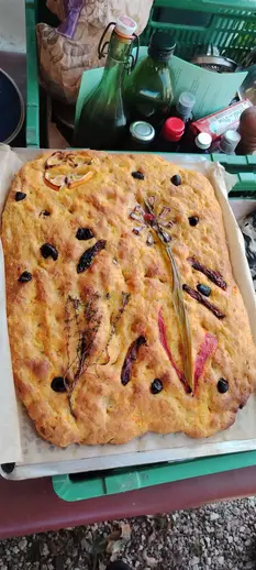 33-biocoop-castres-randonnee-plantes-sauvages-lardicou-27.webp