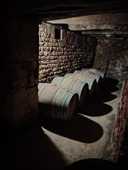 33-nos-producteurs-larroque-gaillac-3.webp