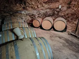 33-nos-producteurs-larroque-gaillac-4.webp