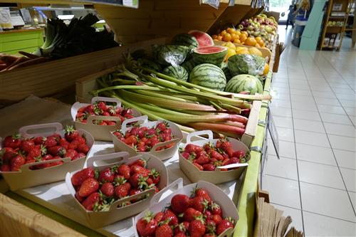 Photos du magasin