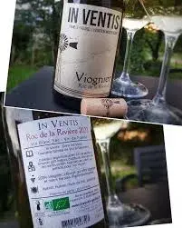 DOMAINE IN VENTIS 