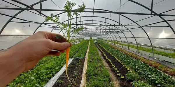 Les Jardins de la Vère