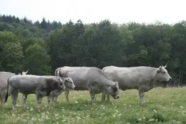LA FERME DE LA SALVANIE
