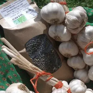 LA FERME DE LA MICALIÉ
