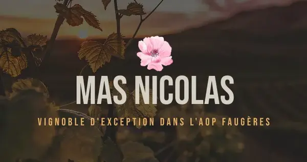 MAS NICOLAS