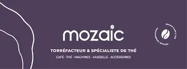 MOZAIC
