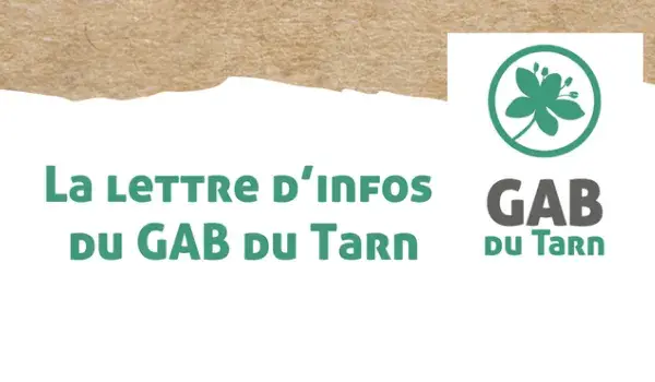 Les actualités du moment Les actualités du moment